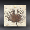 Breathtaking Fossil Palm Frond - 72 x 70 inches