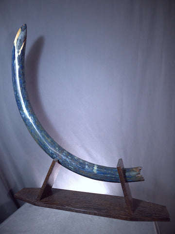 Blue Woolly Mammoth Tusk - 57"