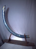 Blue Woolly Mammoth Tusk - 57"