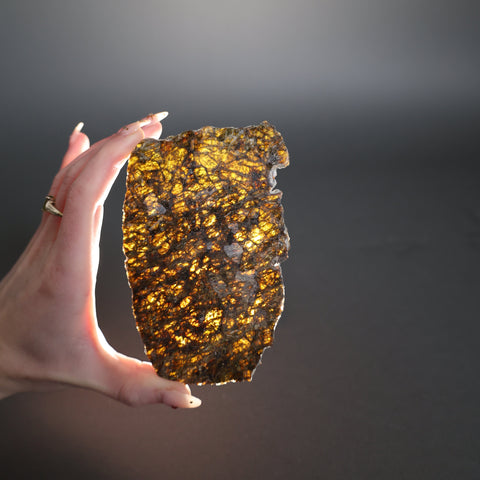 Diogenite NWA 7831 - 53 gram slice
