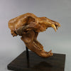 Fossil Cave Bear Skull, 19”
