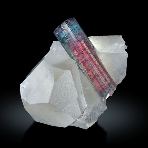 Multi-colour Elbaite Tourmaline on Floater Quartz