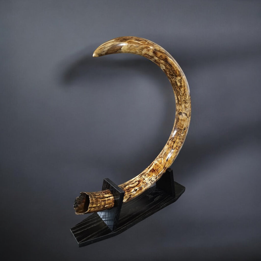 BIG-TUSKED MAMMOTH 英語 旧アジア レリーフ BIG-TUSKED MAMMOTH 英語 旧アジア レリーフ - メルカリ