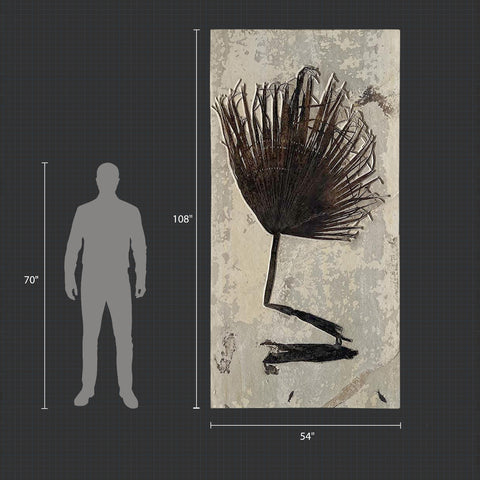 VS #1 - Monumental Fossil Palm Frond, 9’ x 4.5’