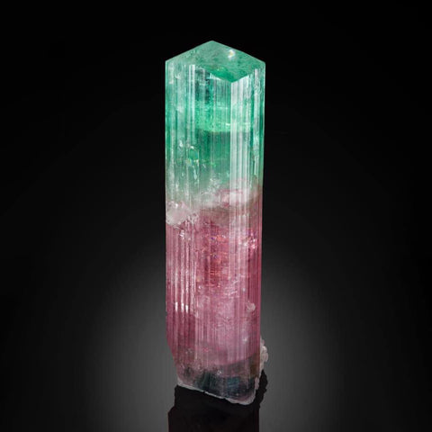 Bicolour Tourmaline Crystal, 11.8 cm