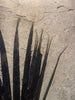 Fossil Palm with Fish - 72" x 70"