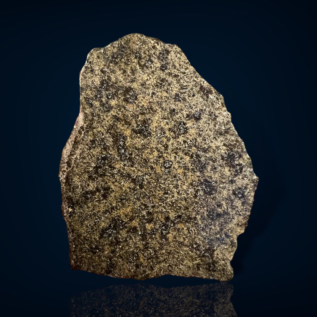 Meteorite From Mars meteorite-from-mars