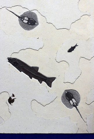 Fossil Fish Collection