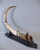 Woolly Mammoth Tusk - 62”