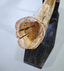 Woolly Mammoth Tusk - 31”