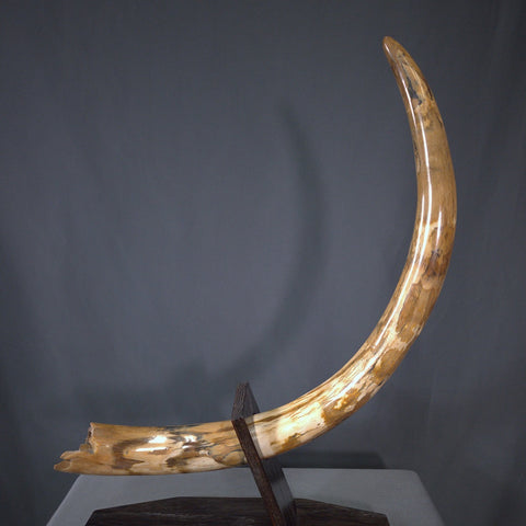 Woolly Mammoth Tusk - 42.5" *RESERVED*