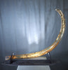 Woolly Mammoth Tusk - 8'2"