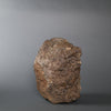 Lunar Meteorite Evidencing  Subsurface Water - 10.8 kg