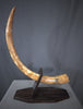 Woolly Mammoth Tusk - 42.5" *RESERVED*