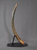 Woolly Mammoth Tusk - 41"