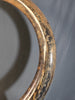 Woolly Mammoth Tusk - 8' long
