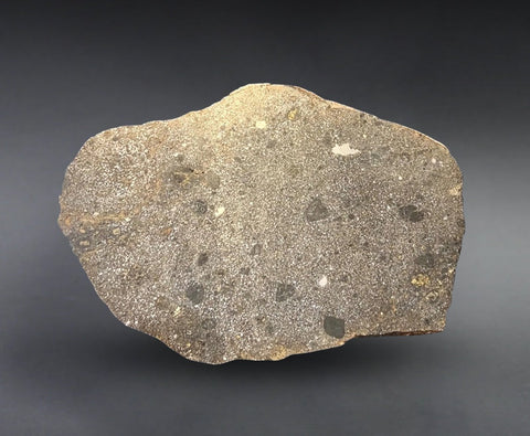 Mesosiderite Meteorite End Piece, NWA 1827 - 4.9 kg