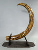 Woolly Mammoth Tusk Pair, Dwarf Subspecies