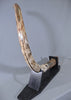 Woolly Mammoth Tusk - 62”