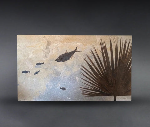 Fossil Palm with Fish - 71.5"