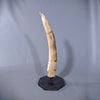 Woolly Mammoth Tusk - 20"