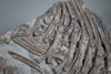 Partial Ichthyosaur - 22"