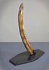 Woolly Mammoth Tusk - 22.5"