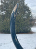 Blue Woolly Mammoth Tusk - 57"