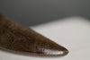 Vault Series #6 - Fine Tyrannosaurus rex Tooth