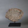 Large Lunar Meteorite - Oued El Hamim 001 - 884 grams