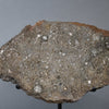 Large Lunar Meteorite - Oued El Hamim 001 - 884 grams