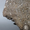 Large Lunar Meteorite - Oued El Hamim 001 - 884 grams