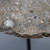 Large Lunar Meteorite - Oued El Hamim 001 - 884 grams
