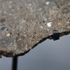 Large Lunar Meteorite - Oued El Hamim 001 - 884 grams