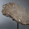 Large Lunar Meteorite - Oued El Hamim 001 - 884 grams