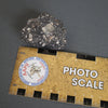 Lunar Meteorite NWA 14685 - 61 grams