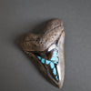 Megalodon Shark Tooth with Turquoise Pyrite Inlay