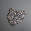 Lunar Meteorite Slice NWA 14685 - 34 grams