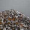 Brahin Pallasite - 152 grams