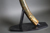 Woolly Mammoth Tusk - 41"