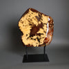 Sculptural Carnelian Agate