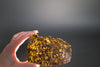 Diogenite NWA 7831 - 53 gram slice