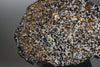 Brahin Pallasite - 690 grams