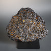 Brahin Pallasite - 690 grams