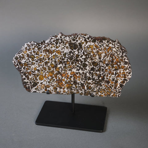 Brahin Pallasite - 485 grams