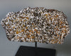 Brahin Pallasite - 485 grams
