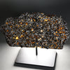 Brahin Pallasite - 485 grams