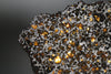 Brahin Pallasite - 485 grams