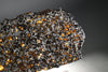 Brahin Pallasite - 485 grams
