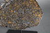 Brahin Pallasite - 608 grams